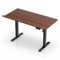 Studio Executive 140cm Dual-Motor Standing Desk in Walnut finish with a black steel frame.