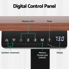 Studio Executive Dual-Motor Standing Desk | Walnut 140cm